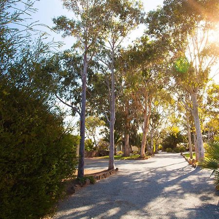 Tumby Bay شقق مودراس تومبي باي المظهر الخارجي الصورة