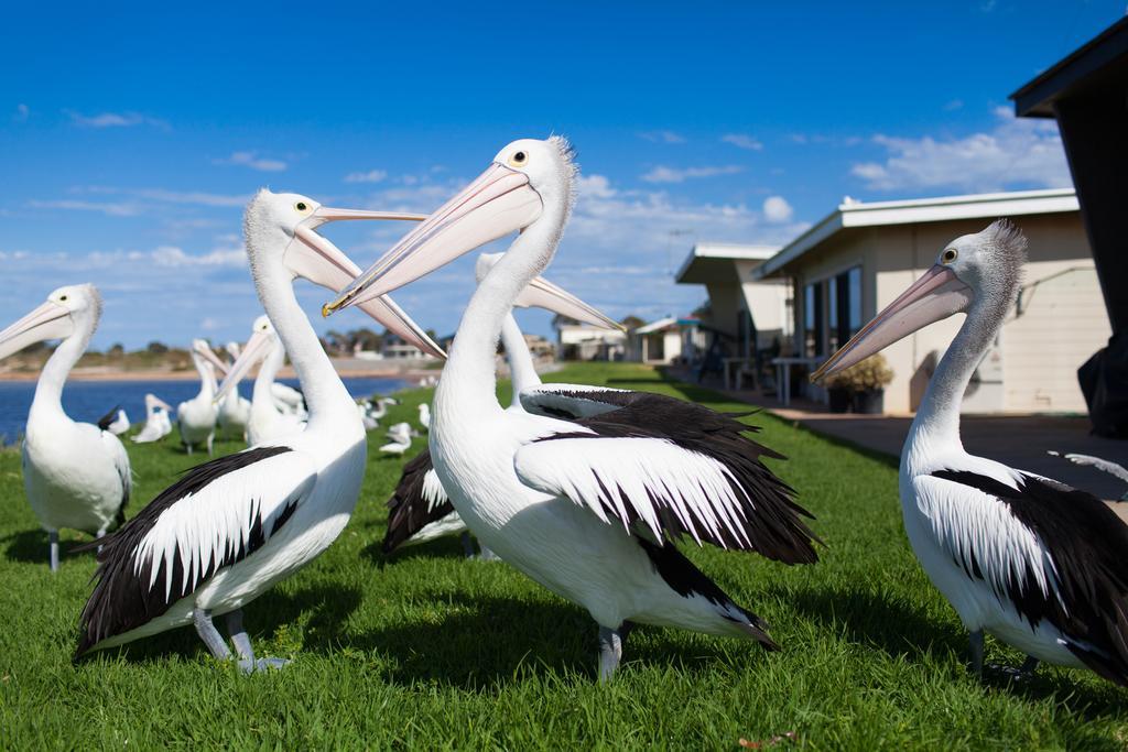 Tumby Bay شقق مودراس تومبي باي المظهر الخارجي الصورة