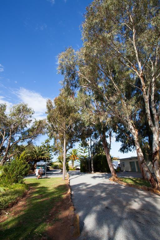 Tumby Bay شقق مودراس تومبي باي المظهر الخارجي الصورة